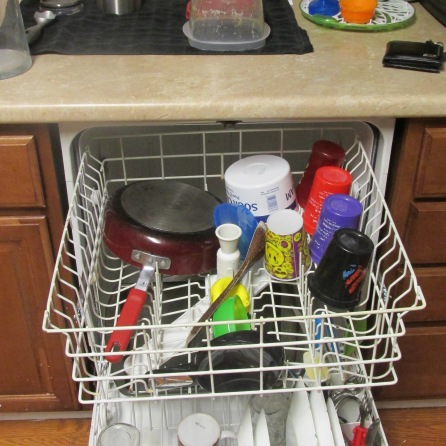 Dishwasher Full of Clean Dishes